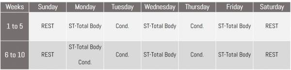 Non-Traditional Five-Day Plan #3 Non-Traditional Five-Day Plan #3