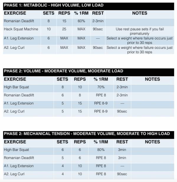 Phases of training chart. Phases of training chart.